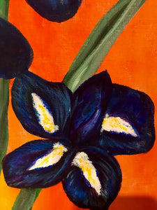 Irises 12x12