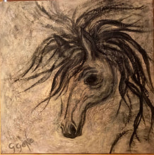 Load image into Gallery viewer, Black Arabian 20 x20
