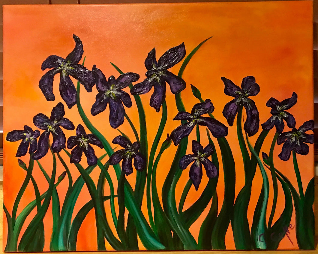 Irises 16x20